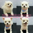 괴정3동-3 이미지