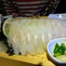 달에서 온 산오징어 이미지