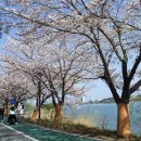 영랑호수공원 이미지