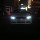 세미레드 이미지
