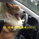 주차장약국 이미지
