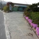 통미