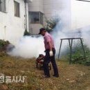서동방역 이미지
