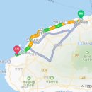 선인장을 부탁해 이미지