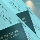 P-5901 | day 0 - 갑자기 파리요? 예약 지옥, 에어프랑스 직항(AF267) 이코노미 탑승 후기, 공항에서 13구 까지 택시