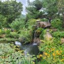 햇살가득농장펜션 이미지