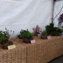 향토공인중개사사무소 이미지