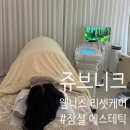 웰리스 | [쥬브니크] 잠실 에스테틱 전신순환 웰리스 리셋케어 후기/예신웨딩관리