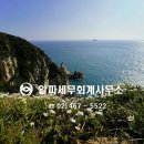 벽지/장판/마루 소매업 이미지