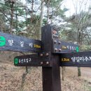 양길리 주차장 이미지