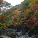 세명여행사 이미지