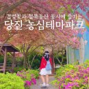 당진 아이와 가볼만한곳 추천 농심테마파크 충남 철쭉동산 겹벚꽃 실시간