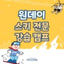올바른 움직임 연구소 | 2026 PT연구소 아카데미 원데이스키캠프 후기｜천안·아산 스포츠교육의 새로운 기준을 만들다