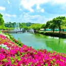 임실꽃화원 이미지