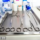 뉴리즈의원 이미지