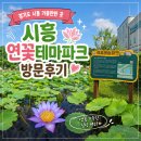 하얀꽃어린이공원 | 시흥 연꽃테마파크 연꽃 개화시기｜관곡지와 함께 걷는 서울 근교 여름 꽃구경