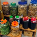 오천스크린골프 | 거질 체력의 역대급 바빴던 3월 아빠 생신 결혼식,여행과 봉이 수술