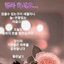 행복한 하루 이미지