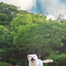 스냅마루 네이버블로그