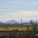 송정카프라자 이미지