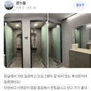 원투복싱핏 이미지