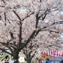 경포천로 이미지