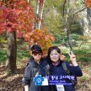 사과나무공인중개사사무소 이미지