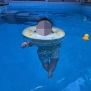 (유)새숲 | 홍천 유리트리트 펜트하우스 포레스트1, 온 가족이 대만족한 온수 풀과 스파 5개월 아기랑 여행 후기