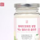 화이트엔토마토