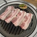 제주돈 도야지 이미지