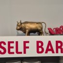 진도리닭도리탕 | 구례 유일한 찜닭 맛집 : 진도리 닭도리탕/배달, 포장 맛집/곱도리탕 추천/선운사 단풍