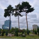 정부청사 입구(샘머리) 이미지