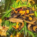 또오리 전문점 이미지