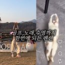 영스크린골프 | 24시간 골프무제한 스크린골프펜션 아체로 빌라&amp;골프