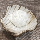 여수 맛집 추천 리스트 : 로타리식당, 순이네 밥상, 스시해일, 미가칼국수