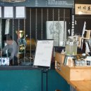 제주 천지연 담팔수 자생지 | [제주도 서귀포시] 천지연폭포