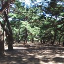 하동공원길 이미지