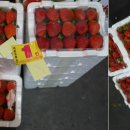 상생과 공존 이미지