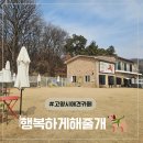 땅콩 애견유치원 | 오늘은 댕댕이와 함께 라떼 한 잔~! 고양시 애견카페 &lt;행복하게해줄개&gt;