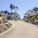 태안오션힐리조트 이미지