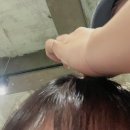 회사 탈출 일지 (이왕 하는 김에 잘하자라고 생각하지만..)