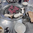 오백소갈비살 월곡점 이미지