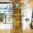 호담동물병원 이미지