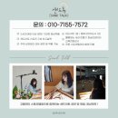 [샌드아트] 전남 영광 장성 아카데미 오프닝 식전 샌드아트 공연
