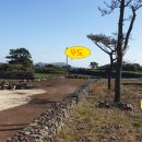 우도공인중개사사무소 이미지