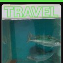 하영횟집 이미지