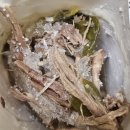 착한건강마을 이미지