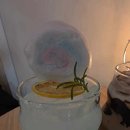 리헨 이미지