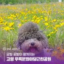 우륵문화마당 이미지