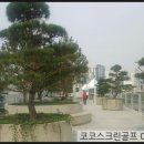코코스크린골프 이미지